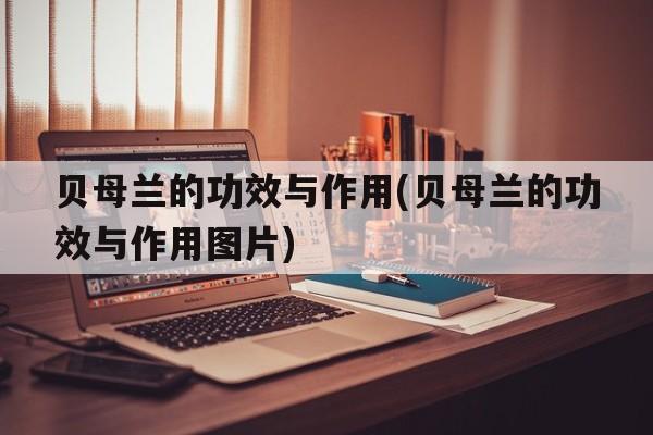 贝母兰的功效与作用(贝母兰的功效与作用图片)