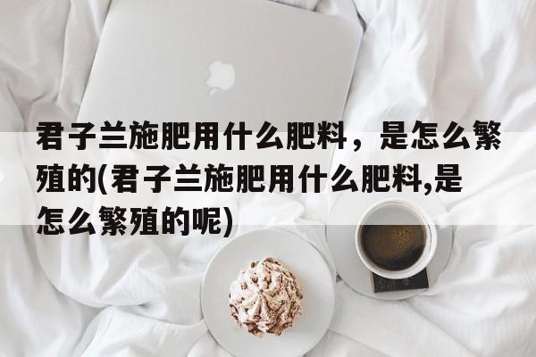 君子兰施肥用什么肥料，是怎么繁殖的(君子兰施肥用什么肥料,是怎么繁殖的呢)