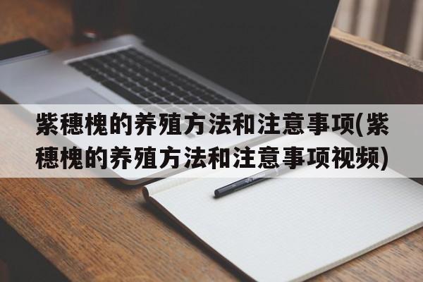 紫穗槐的养殖方法和注意事项(紫穗槐的养殖方法和注意事项视频)