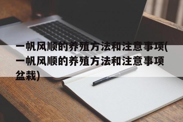 一帆风顺的养殖方法和注意事项(一帆风顺的养殖方法和注意事项 盆栽)