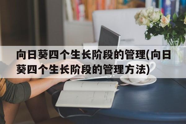 向日葵四个生长阶段的管理(向日葵四个生长阶段的管理方法)