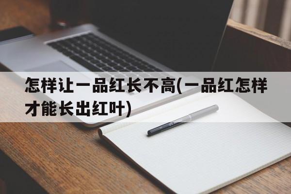 怎样让一品红长不高(一品红怎样才能长出红叶)