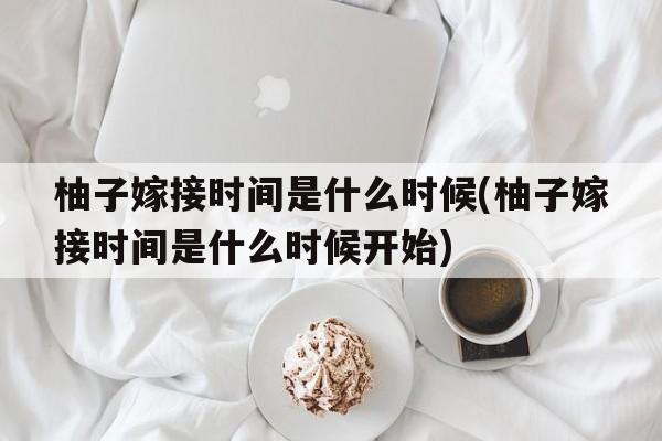 柚子嫁接时间是什么时候(柚子嫁接时间是什么时候开始)