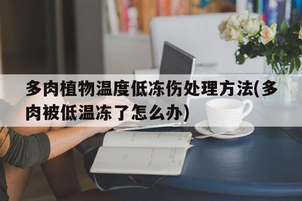 多肉植物温度低冻伤处理方法(多肉被低温冻了怎么办)