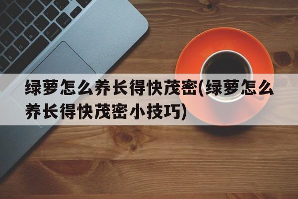 绿萝怎么养长得快茂密(绿萝怎么养长得快茂密小技巧)