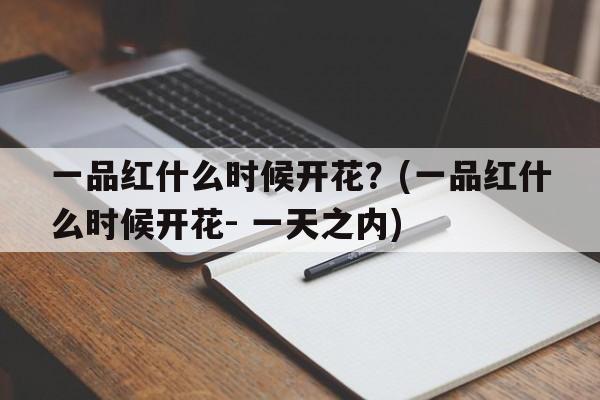 一品红什么时候开花？(一品红什么时候开花- 一天之内)