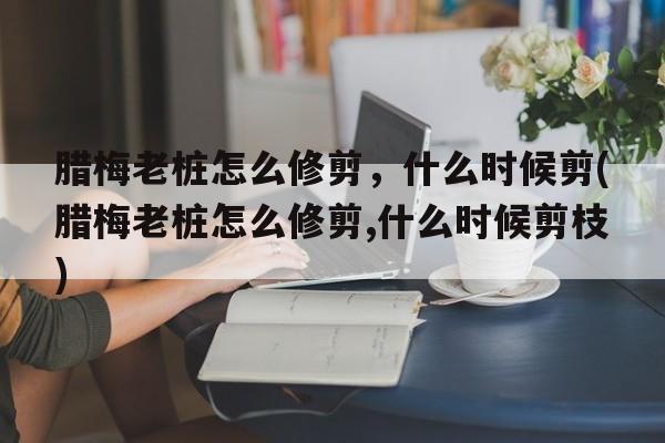 腊梅老桩怎么修剪，什么时候剪(腊梅老桩怎么修剪,什么时候剪枝)