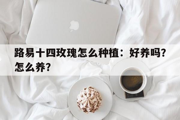 路易十四玫瑰怎么种植：好养吗？怎么养？