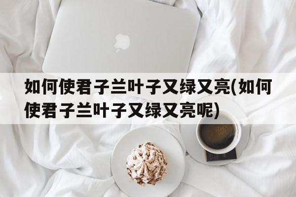 如何使君子兰叶子又绿又亮(如何使君子兰叶子又绿又亮呢)