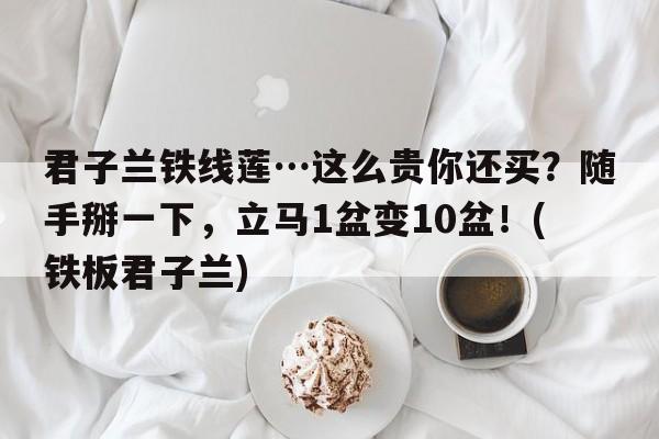 君子兰铁线莲…这么贵你还买？随手掰一下，立马1盆变10盆！(铁板君子兰)