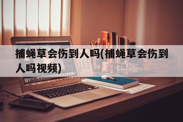 捕蝇草会伤到人吗(捕蝇草会伤到人吗视频)