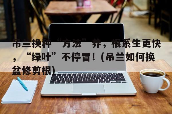 吊兰换种“方法”养，根系生更快，“绿叶”不停冒！(吊兰如何换盆修剪根)