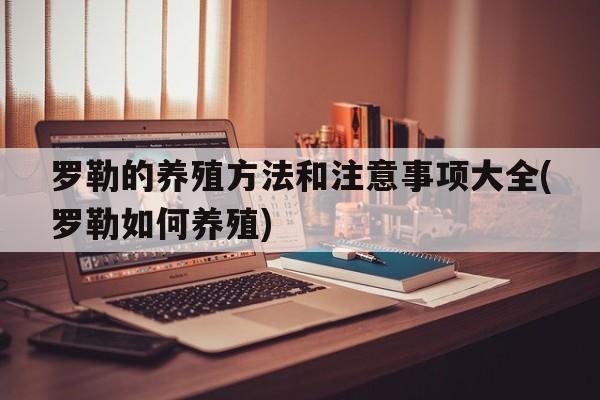 罗勒的养殖方法和注意事项大全(罗勒如何养殖)