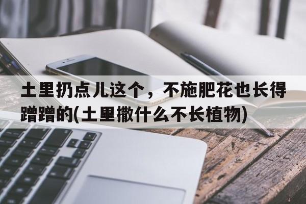 土里扔点儿这个，不施肥花也长得蹭蹭的(土里撒什么不长植物)