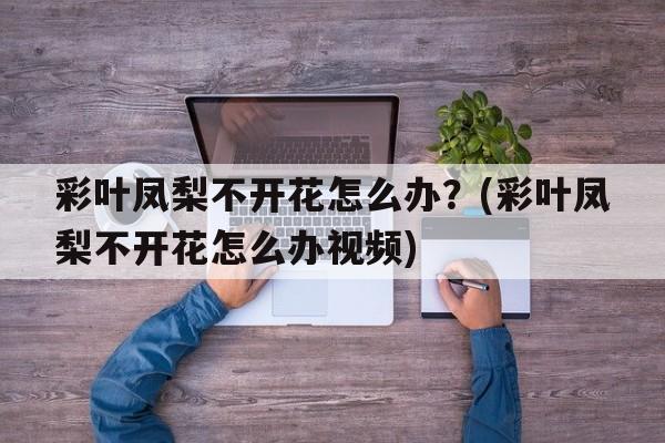 彩叶凤梨不开花怎么办？(彩叶凤梨不开花怎么办视频)