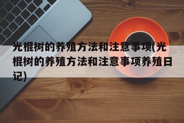 光棍树的养殖方法和注意事项(光棍树的养殖方法和注意事项养殖日记)