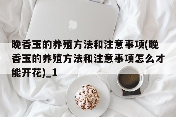 晚香玉的养殖方法和注意事项(晚香玉的养殖方法和注意事项怎么才能开花)_1