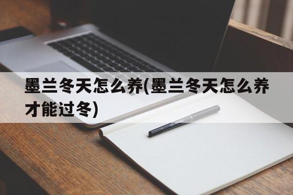 墨兰冬天怎么养(墨兰冬天怎么养才能过冬)