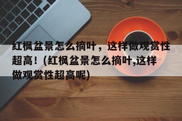 红枫盆景怎么摘叶，这样做观赏性超高！(红枫盆景怎么摘叶,这样做观赏性超高呢)