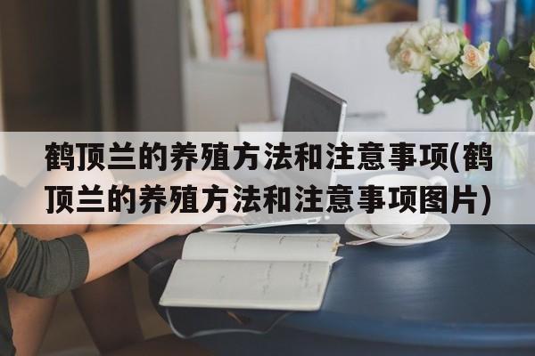 鹤顶兰的养殖方法和注意事项(鹤顶兰的养殖方法和注意事项图片)