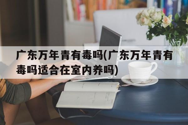 广东万年青有毒吗(广东万年青有毒吗适合在室内养吗)