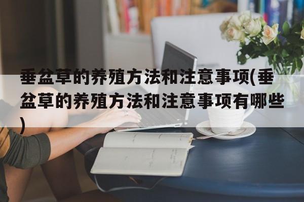 垂盆草的养殖方法和注意事项(垂盆草的养殖方法和注意事项有哪些)