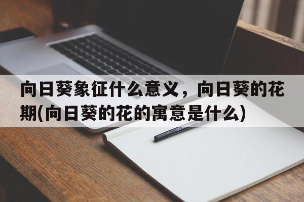 向日葵象征什么意义，向日葵的花期(向日葵的花的寓意是什么)