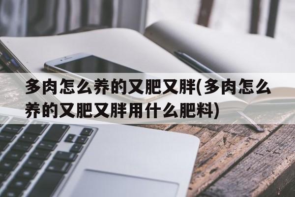 多肉怎么养的又肥又胖(多肉怎么养的又肥又胖用什么肥料)