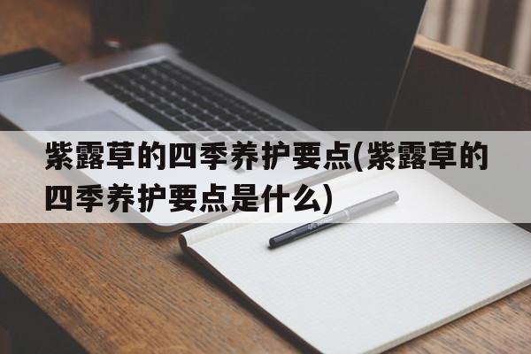 紫露草的四季养护要点(紫露草的四季养护要点是什么)