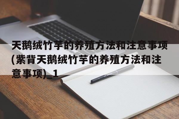 天鹅绒竹芋的养殖方法和注意事项(紫背天鹅绒竹芋的养殖方法和注意事项)_1