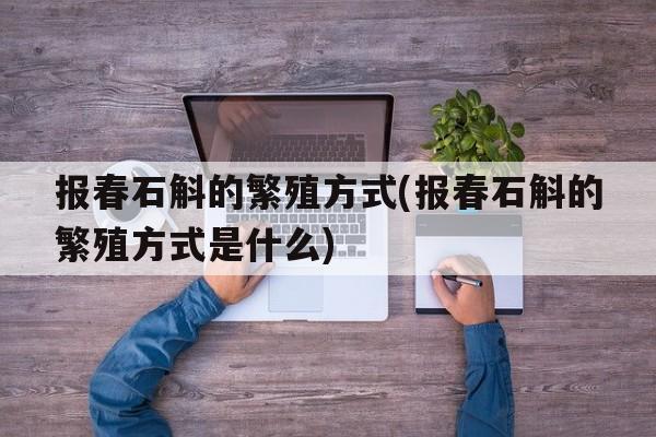 报春石斛的繁殖方式(报春石斛的繁殖方式是什么)