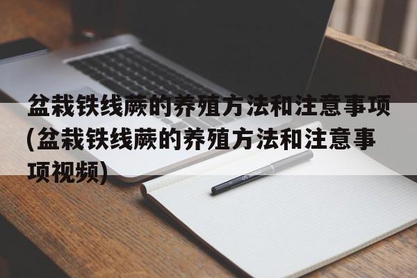 盆栽铁线蕨的养殖方法和注意事项(盆栽铁线蕨的养殖方法和注意事项视频)