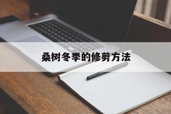 桑树冬季的修剪方法