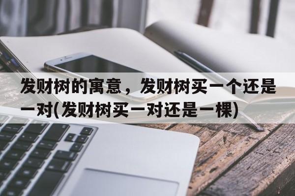 发财树的寓意，发财树买一个还是一对(发财树买一对还是一棵)