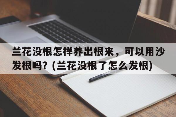 兰花没根怎样养出根来，可以用沙发根吗？(兰花没根了怎么发根)