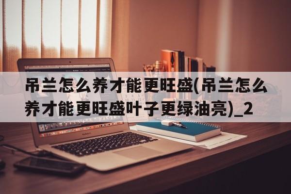 吊兰怎么养才能更旺盛(吊兰怎么养才能更旺盛叶子更绿油亮)_2