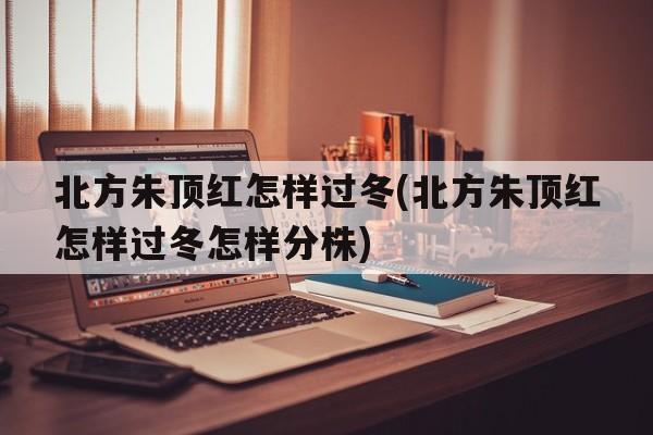 北方朱顶红怎样过冬(北方朱顶红怎样过冬怎样分株)