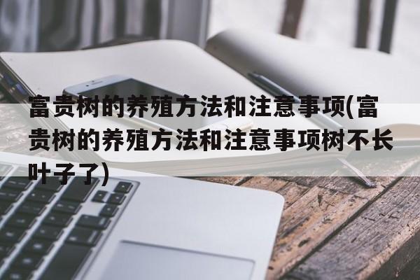 富贵树的养殖方法和注意事项(富贵树的养殖方法和注意事项树不长叶子了)