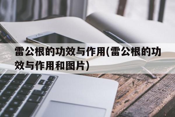 雷公根的功效与作用(雷公根的功效与作用和图片)