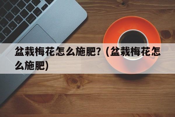 盆栽梅花怎么施肥？(盆栽梅花怎么施肥)