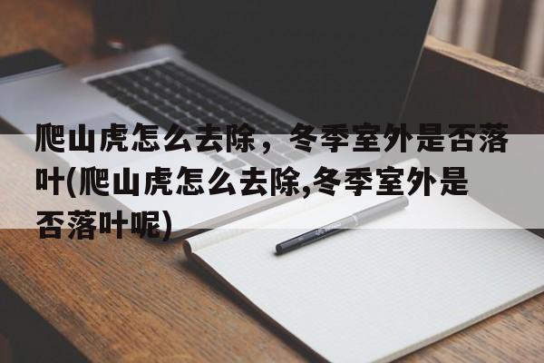 爬山虎怎么去除，冬季室外是否落叶(爬山虎怎么去除,冬季室外是否落叶呢)