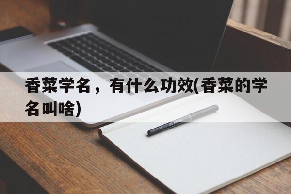 香菜学名，有什么功效(香菜的学名叫啥)