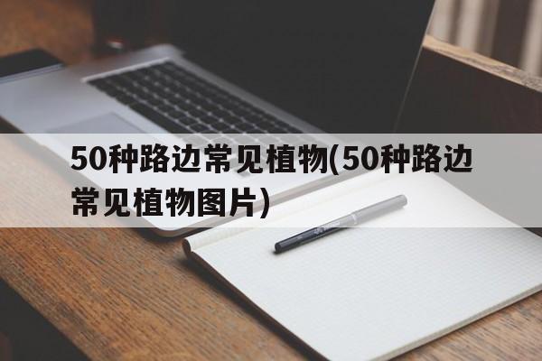 50种路边常见植物(50种路边常见植物图片)