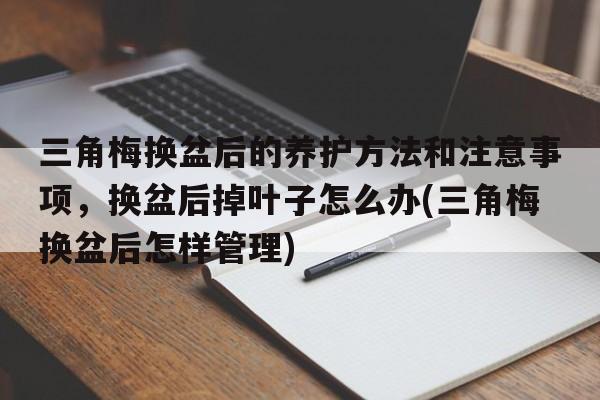 三角梅换盆后的养护方法和注意事项，换盆后掉叶子怎么办(三角梅换盆后怎样管理)