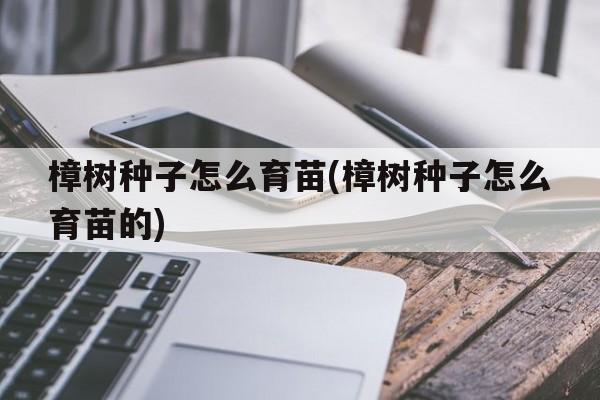 樟树种子怎么育苗(樟树种子怎么育苗的)