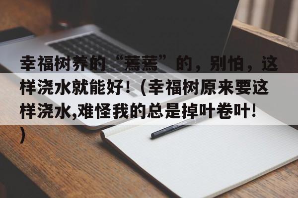 幸福树养的“蔫蔫”的，别怕，这样浇水就能好！(幸福树原来要这样浇水,难怪我的总是掉叶卷叶!)