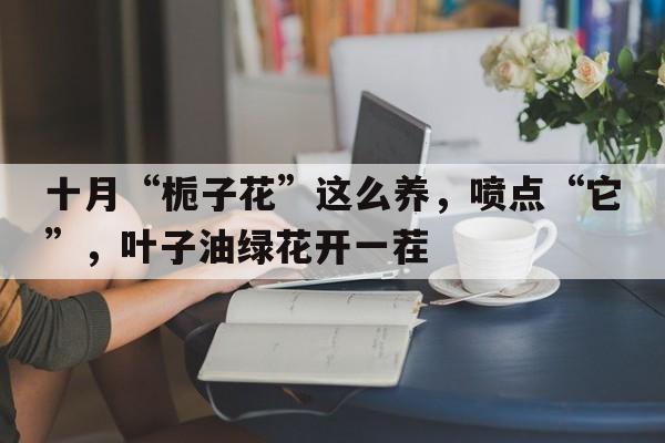 十月“栀子花”这么养，喷点“它”，叶子油绿花开一茬