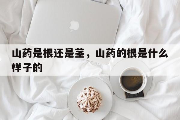 山药是根还是茎，山药的根是什么样子的