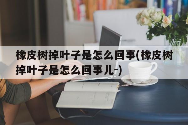 橡皮树掉叶子是怎么回事(橡皮树掉叶子是怎么回事儿-)