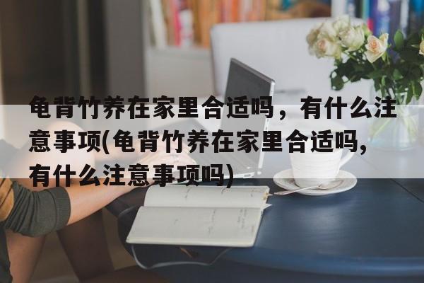 龟背竹养在家里合适吗，有什么注意事项(龟背竹养在家里合适吗,有什么注意事项吗)